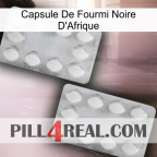 Africa Black Ant Capsule 17